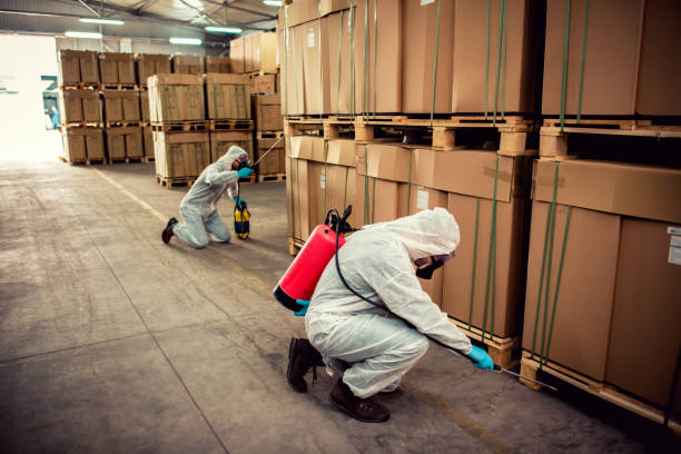 Best Affordable Pest Control Services  in Booneville, AR