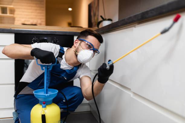 Best Rat Extermination Near Me  in Booneville, AR