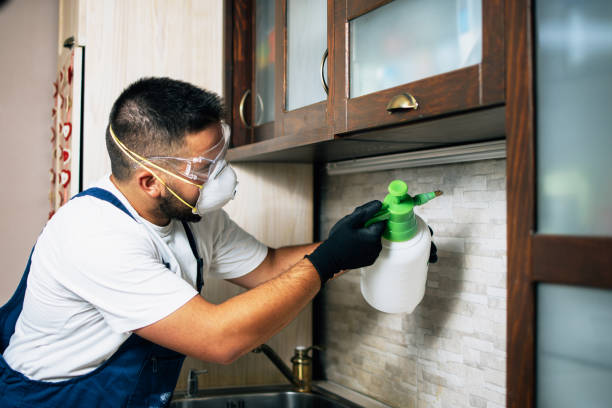 Best Best Pest Control Companies  in Booneville, AR