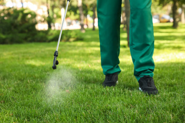 Best Exterminator Services  in Booneville, AR