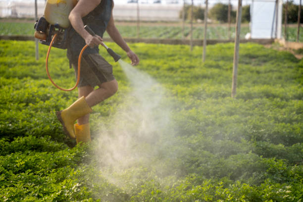 Best Commercial Pest Control Services  in Booneville, AR