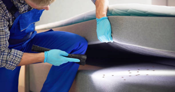 Best Affordable Pest Control Services  in Booneville, AR