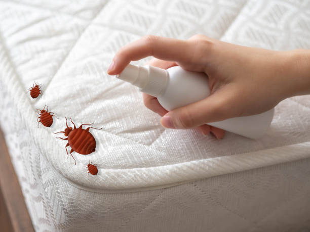 Best Residential Pest Control  in Booneville, AR