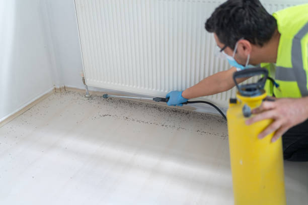 Best Pest Control Near Me in Booneville, AR