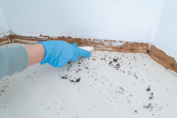 Best Insect Control  in Booneville, AR